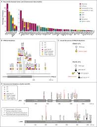 classification and personalized prognosis in