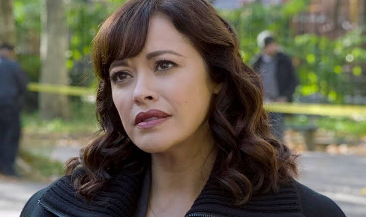 Blue Bloods' Baez star sparks fan support after emotional tribute to late  family member | TV & Radio | Showbiz & TV | Express.co.uk