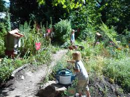 Gardens Photo De Jardin Des Olfacties Coex Tripadvisor