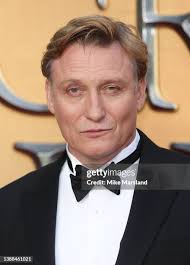 1,971 Masucci Stock Photos, High-Res Pictures, and Images