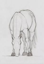 40 Free Easy Animal Sketch Drawing Information Ideas Horse Drawings Animal Sketches Easy Animal Drawings