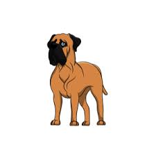 Average price of a bullmastiff puppy: How Much Does A Bullmastiff Cost 2021