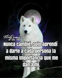 Resultado De Imagen Para Pensamientos De Una Loba Solitaria Frases Fraces Para La Vida Diario De Un Lobo