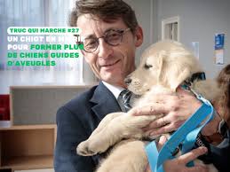 Lorsque le premier avion heurta la tour Nord du World Trade Center, la  panique éclata à tous les étages — mais un labrador doré demeura  imperturbable. Roselle, une chienne guide d'aveugle, reposait