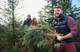 Use a tarp to protect your vehicle from sap and to protect the tree from wind during the drive back home. 10 Nearby Farms Where You Can Cut Down Your Own Christmas Tree Step Out Buffalo