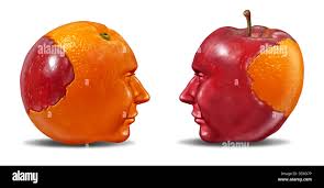 Education fair Cut Out Stock Images & Pictures