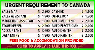 Urgent Requirement For Canada Apply Now How To Apply Find A Job Job