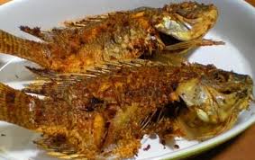 Resep kothok ikan patin yang sedap, kuah gurihnya mirip dengan masakan mangut gulai nangka. Resep Dan Cara Membuat Ikan Mujair Goreng Rendang Crispy