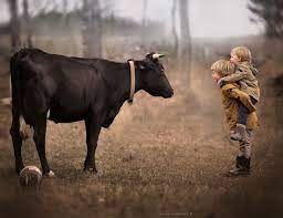 Pin On Elena Shumilova