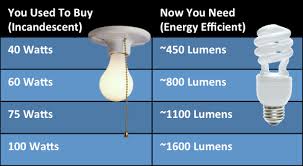 Evaluating Energy Efficient Light Bulbs