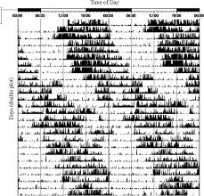 Treatment Dsps A Sleep Disorder