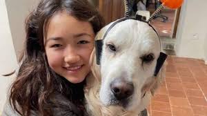 Don de moelle osseuse. L'appel d'un couple normand : « Vous pouvez  peut-être sauver notre fille »