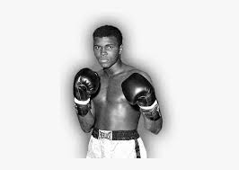 Young cassius had a younger brother named rudy. This Boxing Dvd Career Set Is Available Either Cased Muhammad Ali Clay Png Png Image Transparent Png Free Download On Seekpng