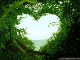 Nereida L S Profile Beautiful Nature Nature Images Nature