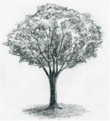 We did not find results for: Draw A Tree Simply And Easily