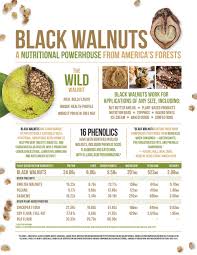 Food Manufacturing Hammons Black Walnuts