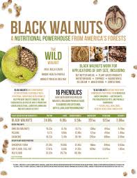 food manufacturing hammons black walnuts