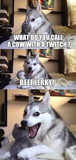 A white cow, unless you have a specific breed you want to call it by, such as charolais or chianina. Bad Pun Dog Meme Imgflip