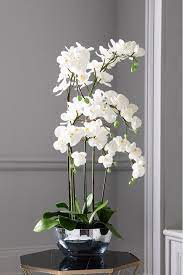 Buy Artificial Luxe Orchid In Glass Bowl From The Next Uk Online Shop Orchids Fake Flowers Decor Artificial Flower Arrangements