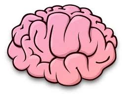 Discover more posts about computational neuroscience. Computational Neuroscience A Brief Walk Through Illustrator Tutorials Brain Icon Adobe Illustrator Tutorials
