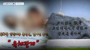 네이트 TV
