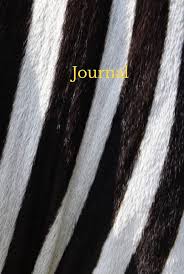 Bildergebnis für Doreen Sibanda