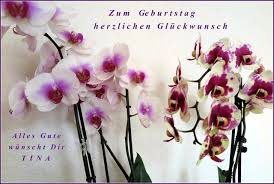 Zum 90 Geburtstag Herzlichen Gluckwunsch Liebe Ursel Seite 1 Forum Im Seniorentreff