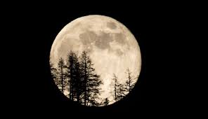 Beim vollmond im stier geht es darum Seltenes Schauspiel Der Supermond Uber Kals Am Grossglockner Osttirol Heute At