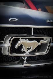 Download Ford Mustang Logo Wallpaper Hd Backgrounds Download Itl Cat Best ford mustang wallpaper, desktop background for any computer, laptop, tablet and phone.