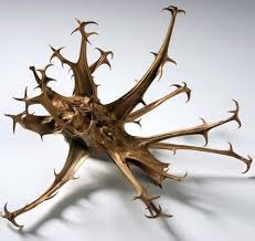 Image result for Harpagophytum procumbens