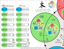 Five Elements Of Acupuncture Points Poster 18 X 24