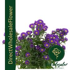 We deliver the finest in fresh phoenix flower shops is the leading provider of thoughtful gifts, helping our customers connect with the important people in their lives, so it's important. Phoenix Flower Wholesale In Singapore