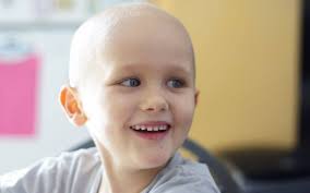 How much money did you personally donate to the Axanar fundraisers?