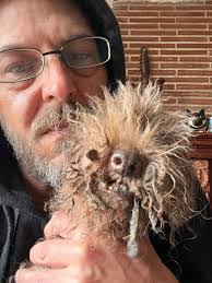 Melinda Roche's Instagram, Twitter & Facebook