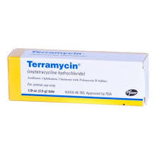 Terramycin Eye Ointment 1 8 Oz Eye Infection In Dogs Ointment Pamper Pets