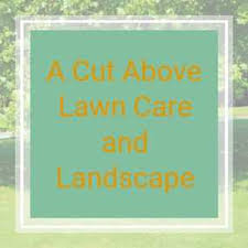 A cut above landscaping is run and owned by nathan hilzinger and andrew wiser. 6 Best Lawn Care Mowing Services In Northampton Pa