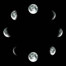 We cannot see the moon when it is a new moon. Hog Wild Preserve Hog Hunting How Do Moon Phases Impact Hog Hunting