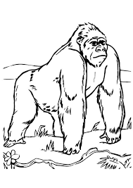 Print Coloring Image Momjunction Zoo Coloring Pages Zoo Animal Coloring Pages Animal Coloring Pages