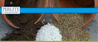 We did not find results for: Perlite Home Depot Canada