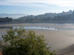 The silver lake reservoirs conservancy is dedicated to preserving and enhancing the historical, aesthetic, ecological, and recreational benefits of silver lake's open waters and surrounding open space. What S Going On With The Silver Lake Reservoir Silverlandia