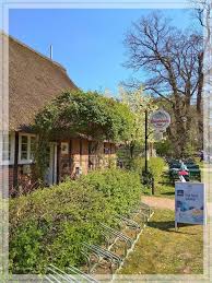 Cafe Bewertung Heuerhaus Dotlingen Cafe Aussenterasse Cafe Restaurant