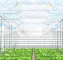 Simulate a Pad and Fan Cooling System for Greenhouse