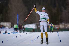 Thomas Granlund joins Wsportsmedia as CVO