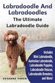 Give me an overview of labradoodle puppies for sale in florida. Ebook Labradoodle And Labradoodles Von Susanne Saben Isbn 978 1 911355 39 7 Sofort Download Kaufen Lehmanns De
