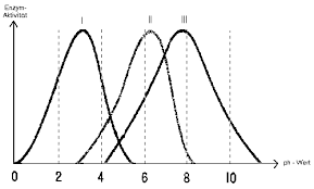 The molecules upon which enzymes may act are called substrates. Station 1a Landesbildungsserver Baden Wurttemberg