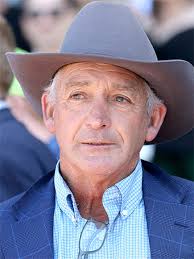 Julien Welsh Horse Trainer Profile