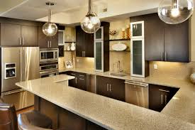 houzz 10 basement kitchen design