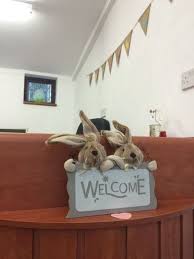 Find the closest pet friendly hotels nearby. About Us Hawthorne Bunny And Small Pet Hotel