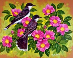 Pretty birds beautiful birds animals beautiful wonderful flowers beautiful fairies exotic birds colorful birds tropical birds bird drawings. 46 Roses And Birds Wallpaper On Wallpapersafari