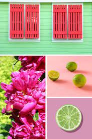 From light green to dark green, the collection gives a good idea to the graphic designers what color to choose. These 7 Colors That Go With Lime Green Show Off The Versatility Of Lime Green Color Combinations